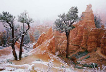 Alapfy László Photography